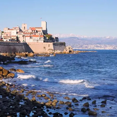Cozy - 350 From The Sea - And Bright With Balcony - Antibes